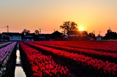 真っ赤な夕陽♪