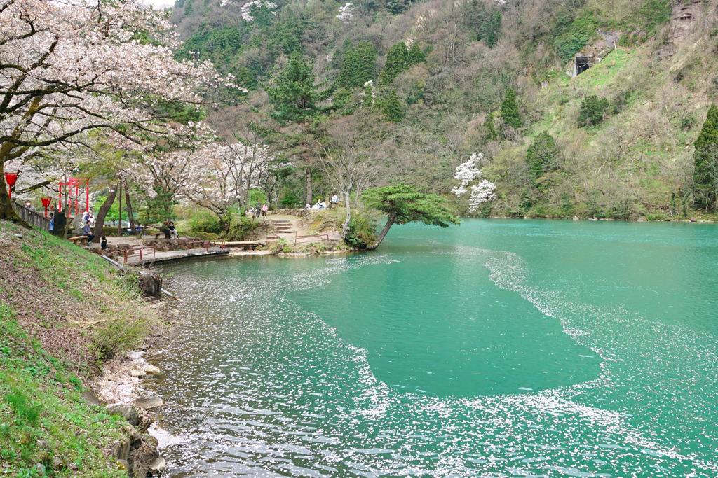 桜河（おうが）