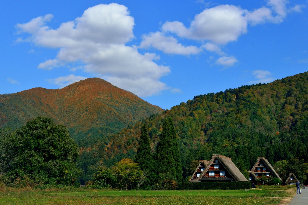 山里に秋降りつつ・・・