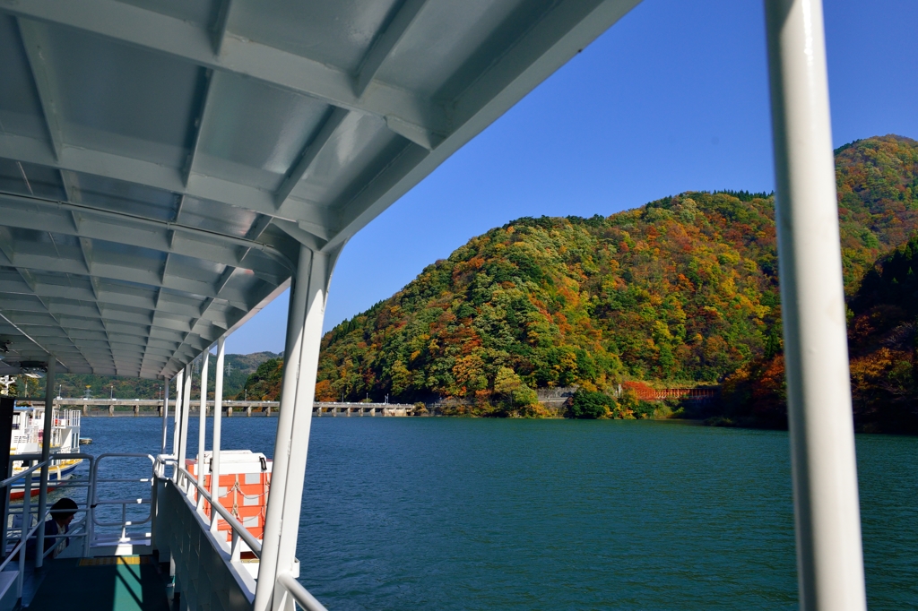 紅秋　庄川峡船の旅２