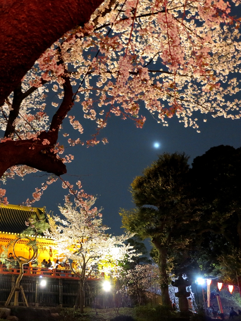 春爛漫♪ in TOKYO VI　月のまつにおぼろ月