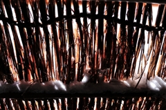 厳冬五箇山　雪囲い