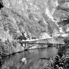 弥生 雪の庄川峡Ⅱ（モノクロバージョン）
