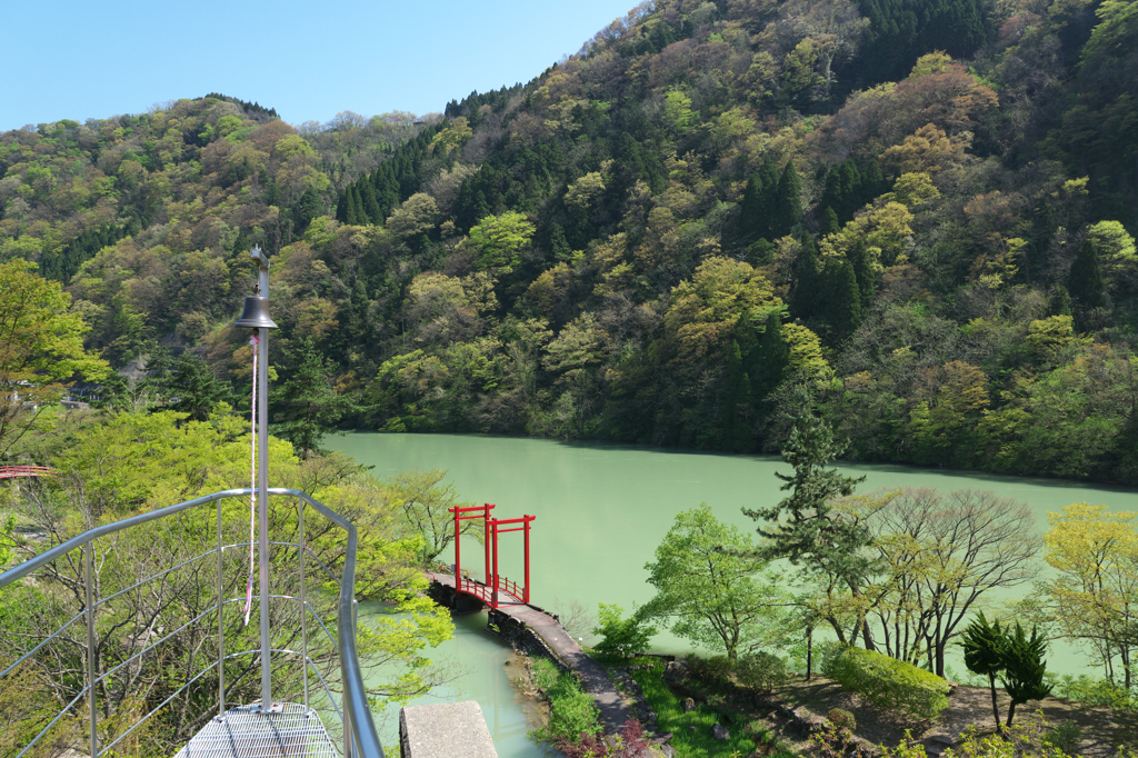 新緑芽吹く庄川峡
