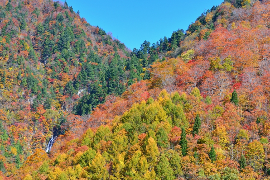 山襟燃ゆる