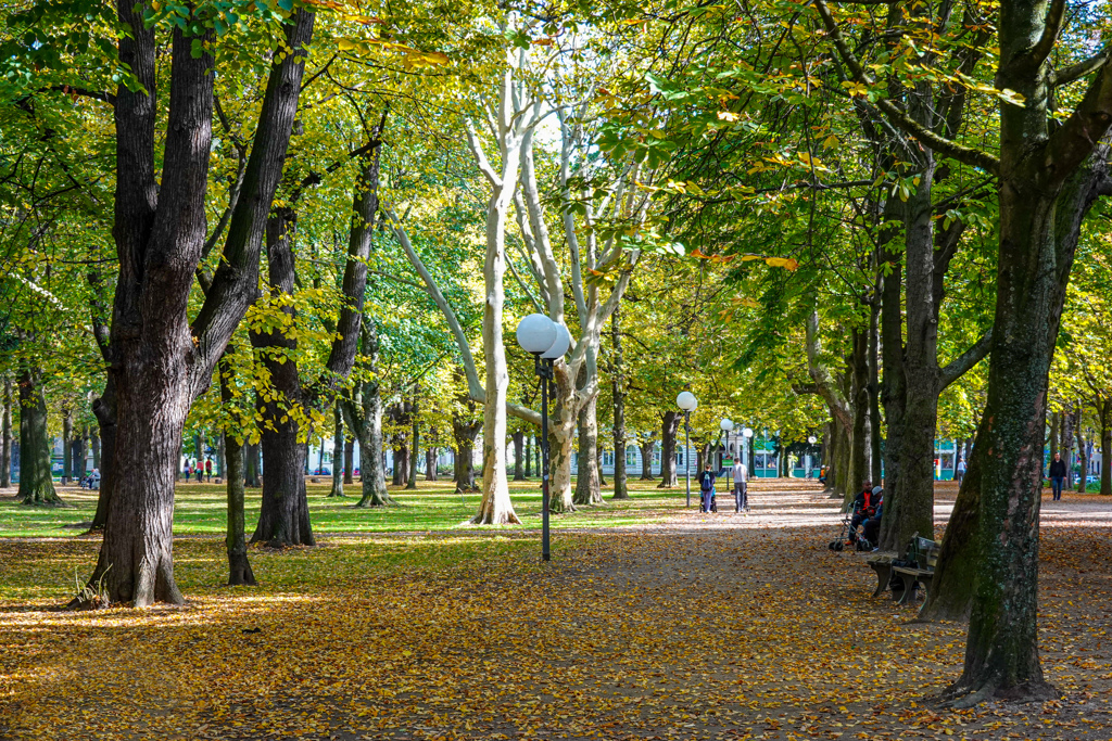 秋のボン ホーフガルテン Hofgarten 1
