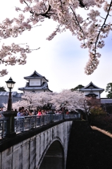 桜の石川門