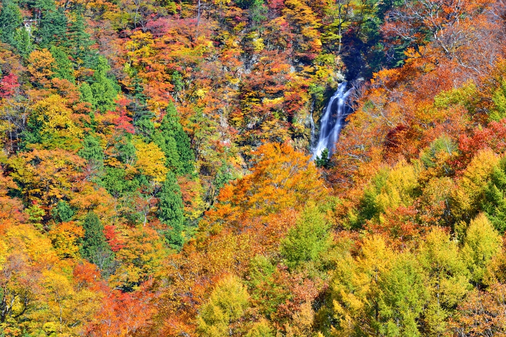 天生(あもう)三滝　高滝