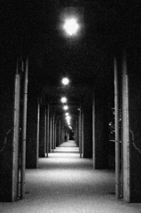 恋するヨコハマ　魅惑のプロムナード