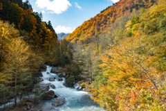 清流大白川