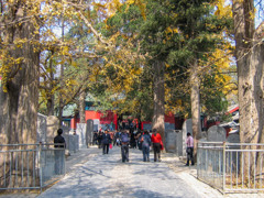 2004年中国の旅３　石碑の森 嵩山少林寺＠河南省・鄭州・登封