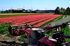 花摘みマシーン