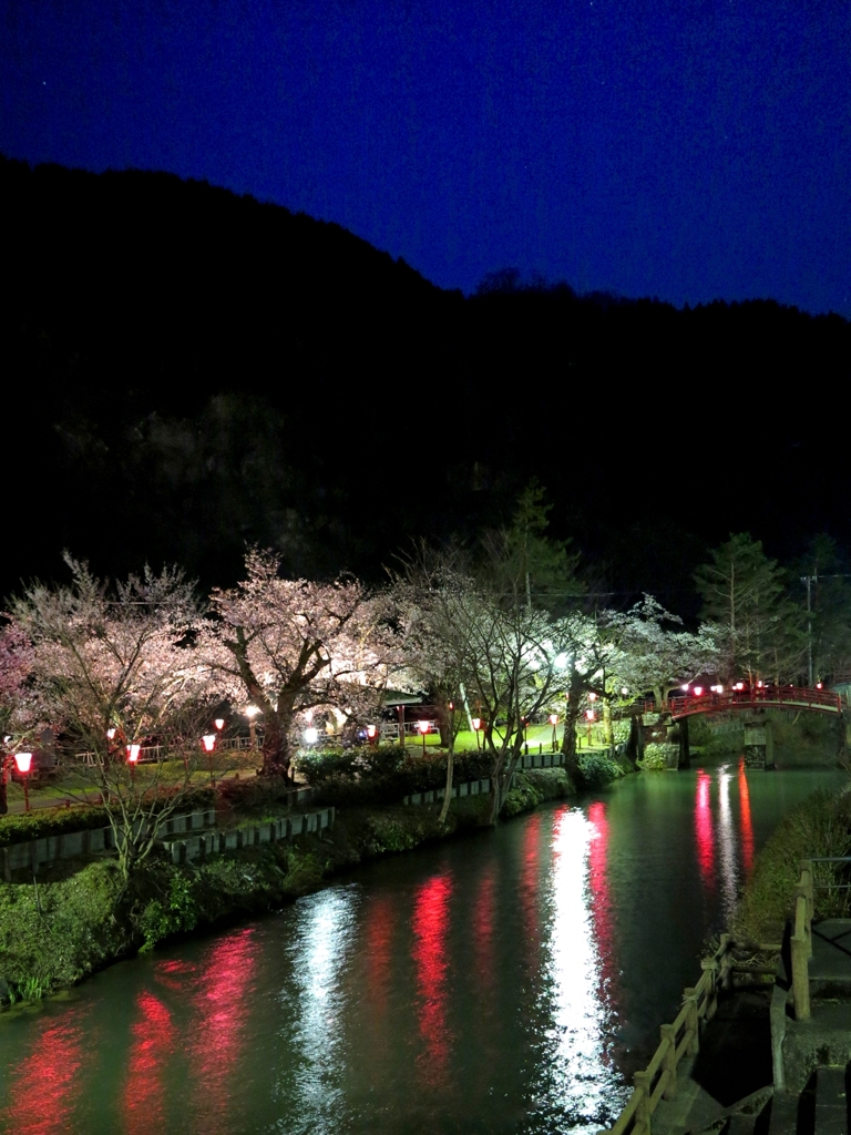 宵闇桜