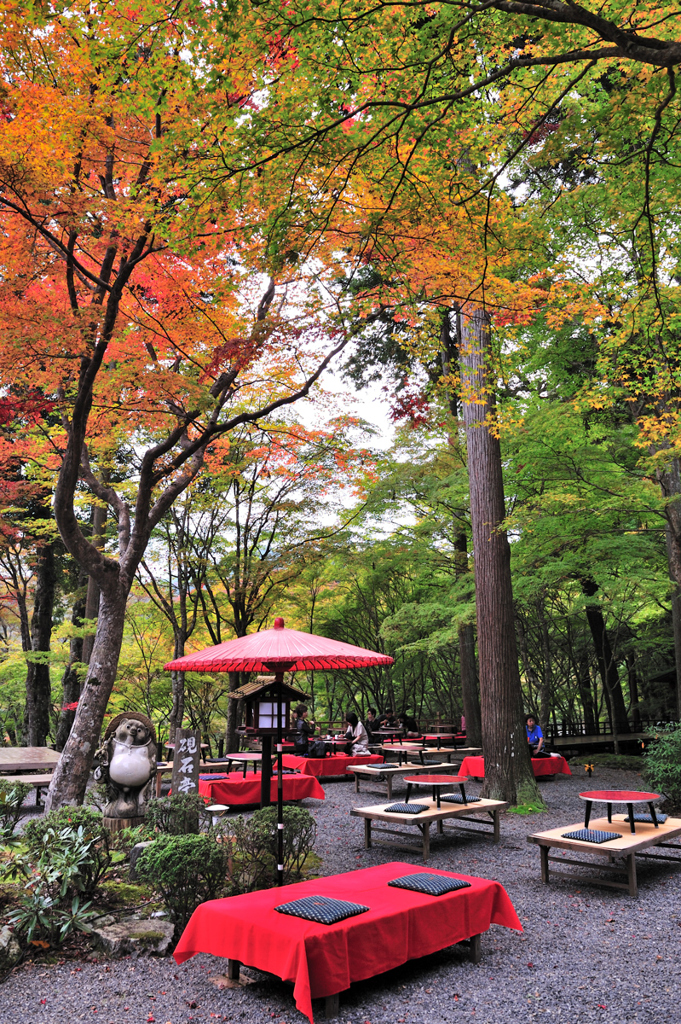 京都　三尾巡り　高雄山神護寺参道Ⅰ