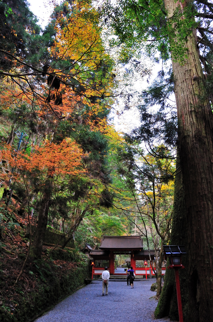 京都の秋を求めて　貴船神社Ⅰ
