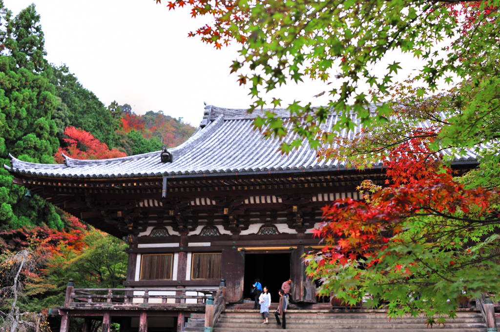 京都　三尾巡り　高雄山神護寺Ⅴ