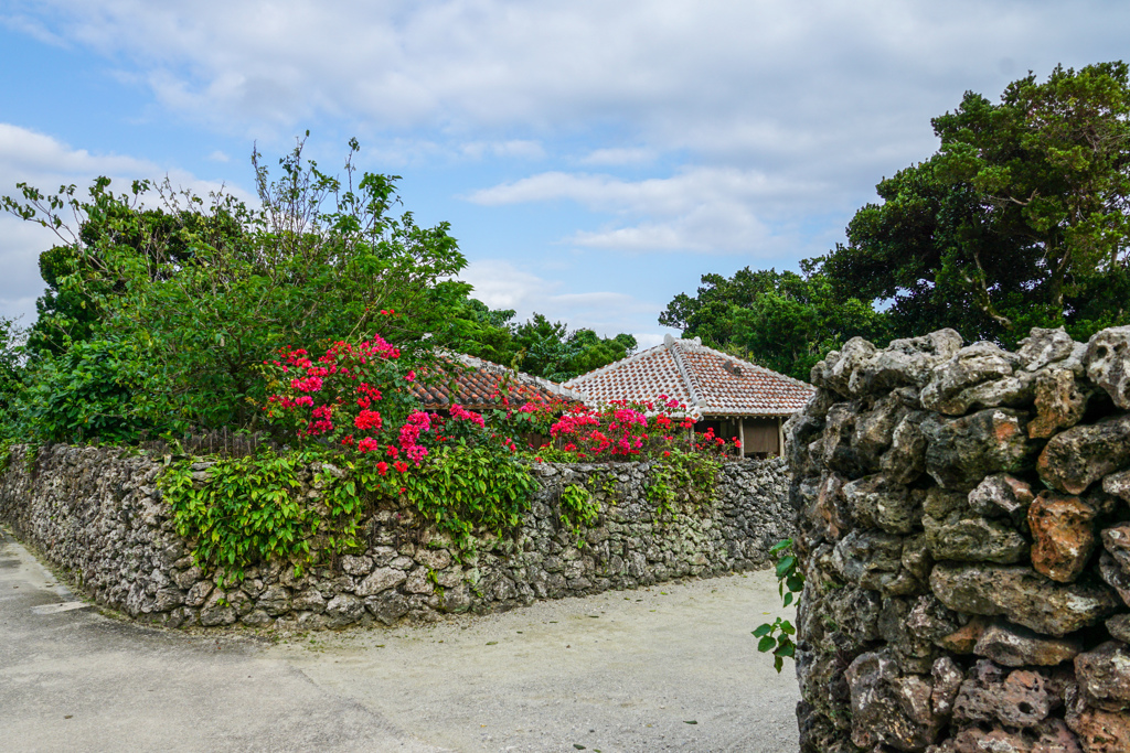 南ぬ島の赤い花＠竹富島