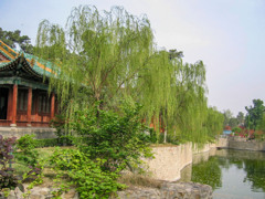 2005年中国の旅２　結義園の庭 解州関帝廟＠山西省 運城