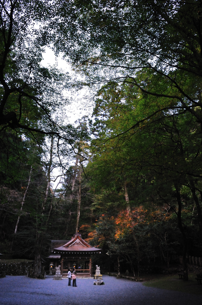 京都の秋を求めて　貴船神社Ⅱ