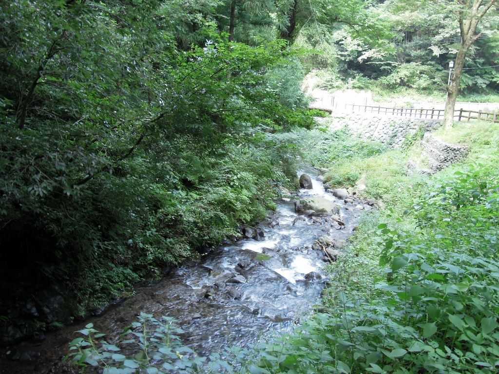 一乗滝・川