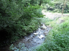 一乗滝・川