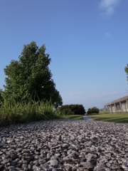 散歩道
