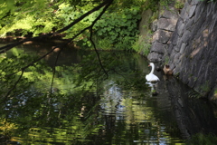 お疲れ様でした