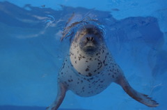 水族館