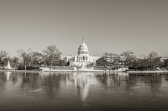 Monotone Parliment