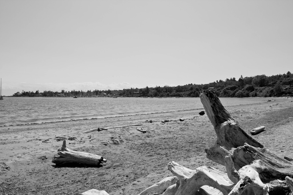 Cadboro Bay 白黒