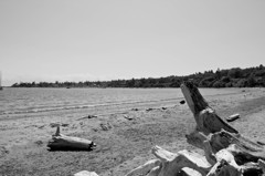 Cadboro Bay 白黒