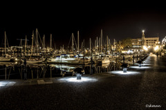 Harbor at Night