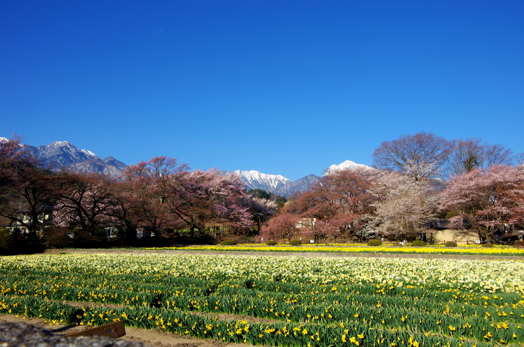 実相寺境内から甲斐駒ヶ岳