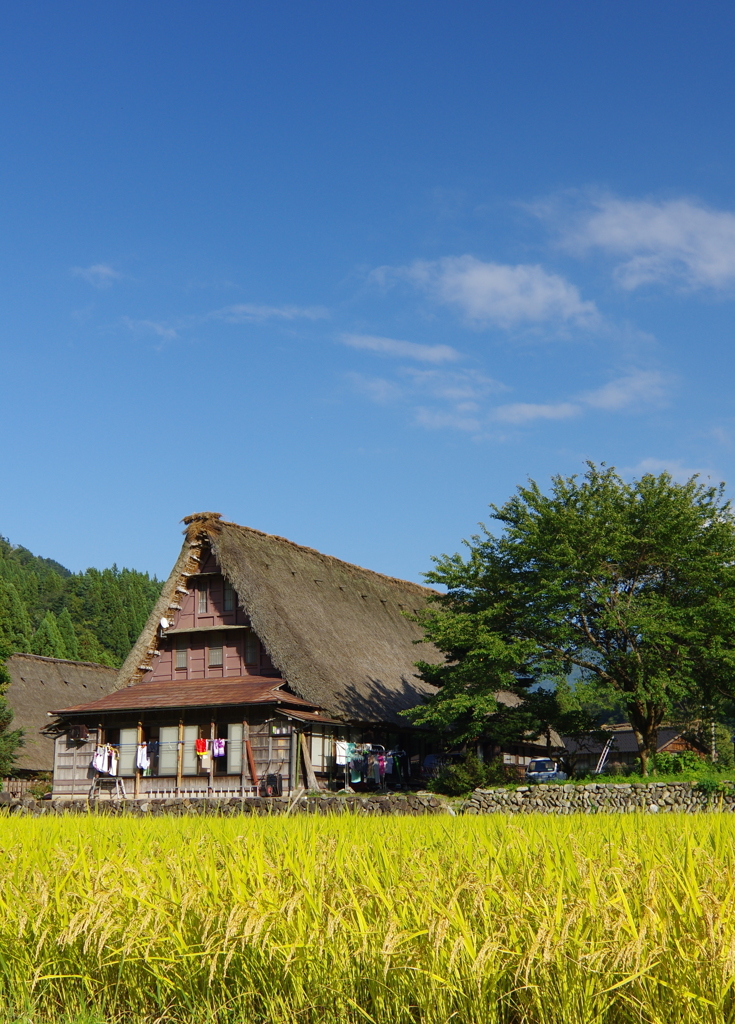 IMGP0034 縦