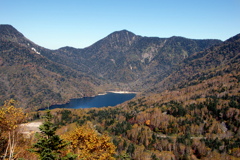 日光白根山ロープウェイから