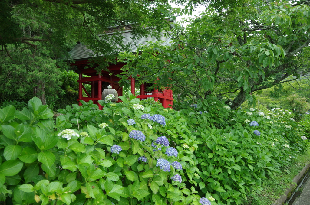 あじさい寺山門