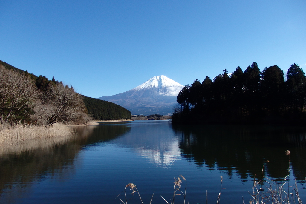 田貫湖逆さ富士