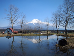 行ってきました、ふもとっぱらキャンプ場