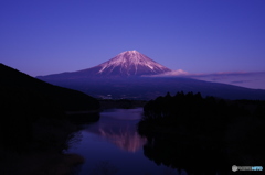 田貫湖富士山
