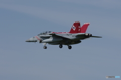 IMGP2100