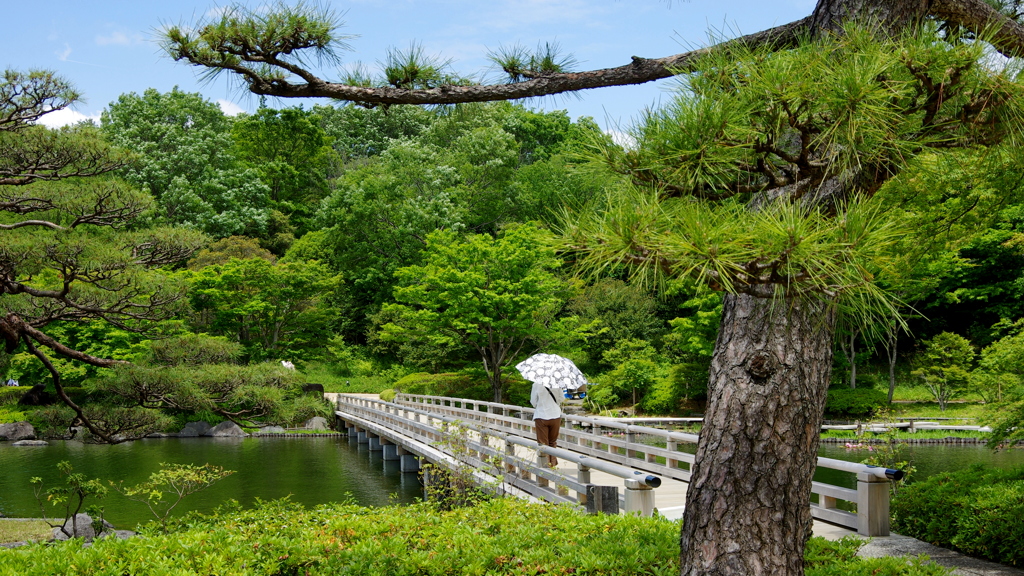 昭和記念公園日本庭園