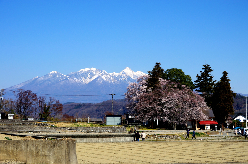 八ヶ岳が見えました