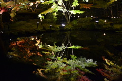 #15　　雨あがりの映り紅葉