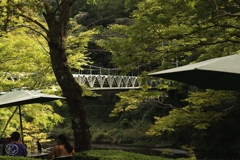奥多摩沢井
