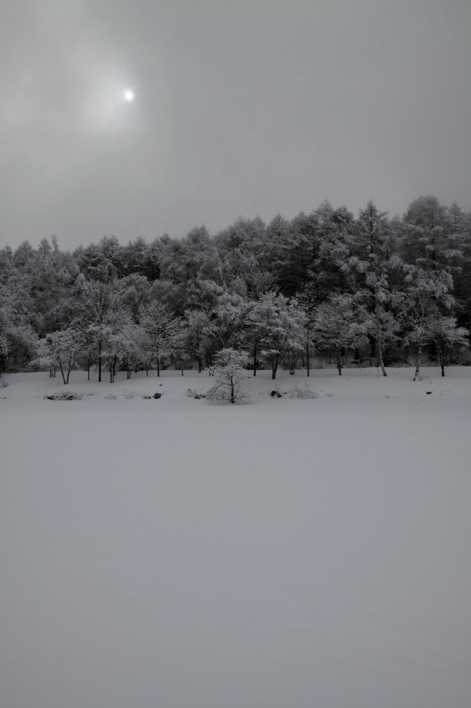 吹雪迫る雪原