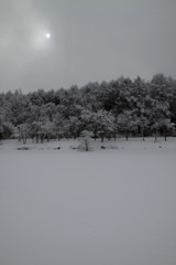 吹雪迫る雪原