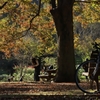 午後の公園