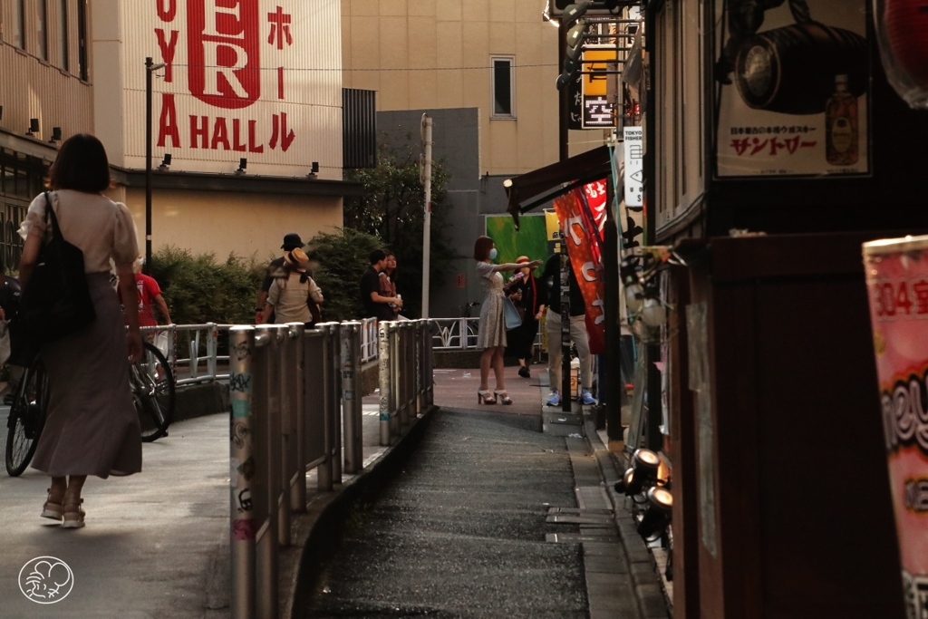 宇田川遊歩道　９