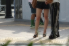 夏の歩道