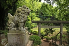 堀口天満天神社　１